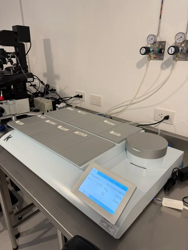 Equipo especializado de incubación del laboratorio